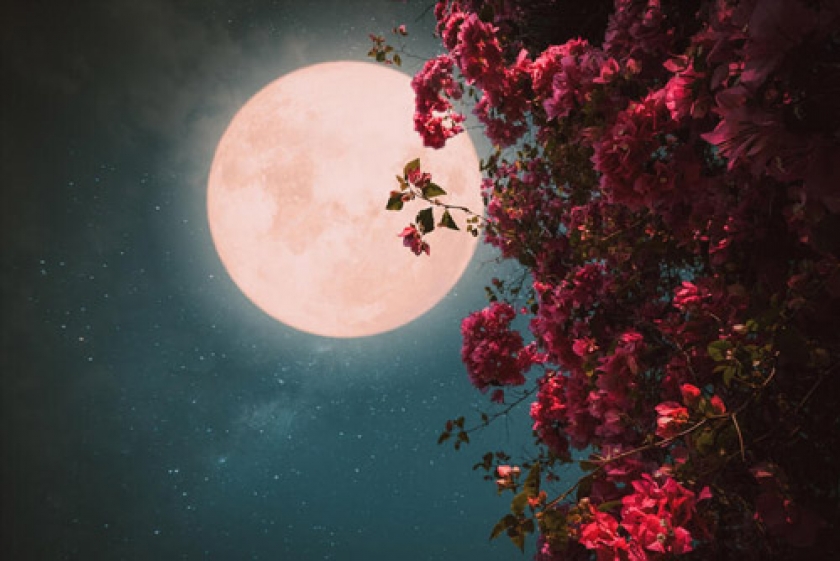 Uma semana e uma Lua cheia pra lá de especial! Wesak - Parte II Uma semana e uma Lua cheia pra lá de especial! Wesak - Parte II