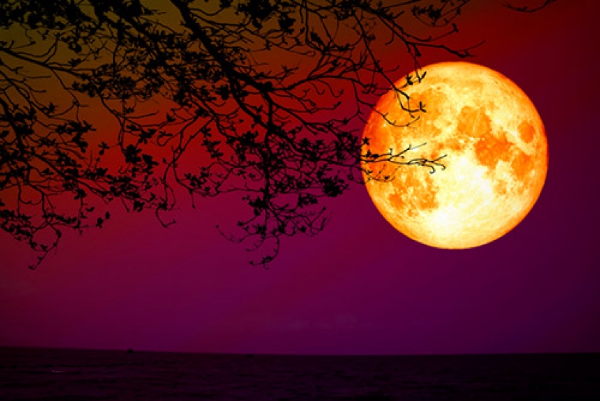 O que esperar deste período, com lua Nova em Touro, eclipse lunar, super Lua, dentro do mês de maio.