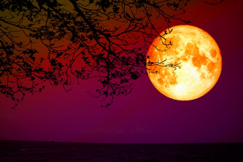 Blog - Tarot Renascer O que esperar deste período, com lua Nova em Touro, eclipse lunar, super Lua, dentro do mês de maio. O que esperar deste período, com lua Nova em Touro, eclipse lunar, super Lua, dentro do mês de maio.