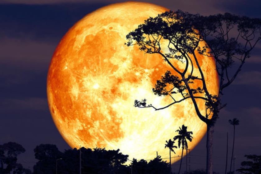 Blog - Tarot Renascer O que esperar de uma Lua cheia em Sagitário e os vários eventos, Eclipse e Super Lua. O que esperar de uma Lua cheia em Sagitário e os vários eventos, Eclipse e Super Lua.